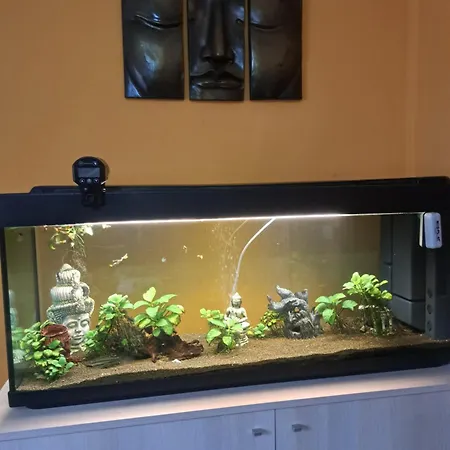 Casa Poldo *